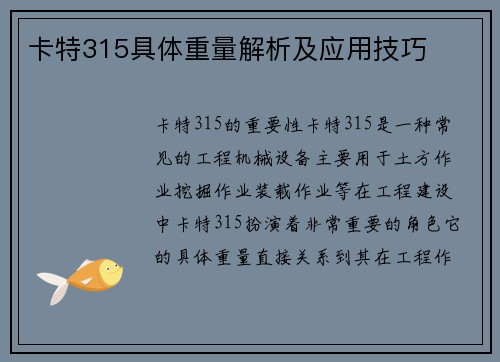 卡特315具体重量解析及应用技巧