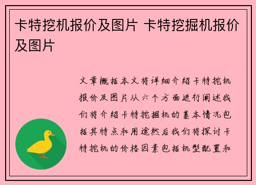 卡特挖机报价及图片 卡特挖掘机报价及图片